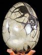 Masive, Septarian Dragon Egg Geode - Cyber Monday Deal! #50823-3